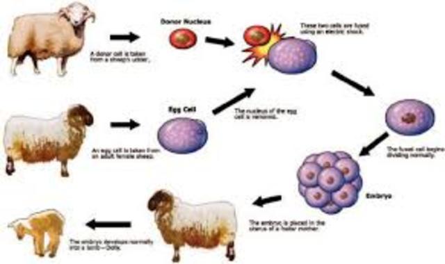 First animal gene cloned