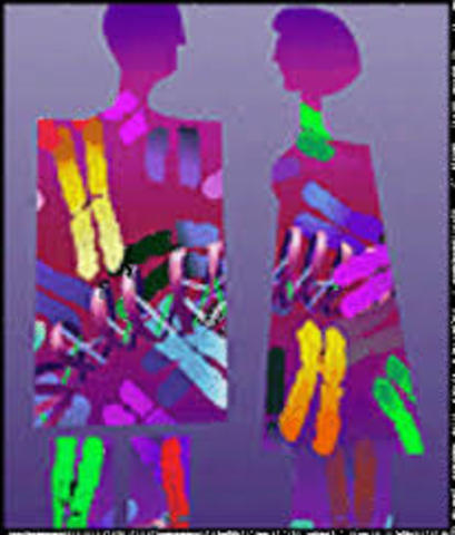 Ban on Genetic Discrimination in the Workplace