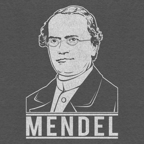 Gregor Mendel