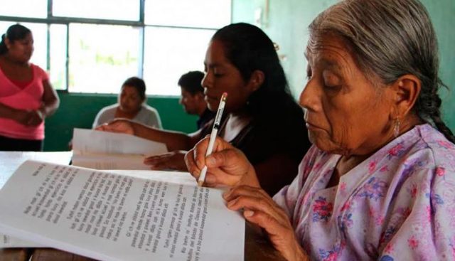 Educación básica para adultos