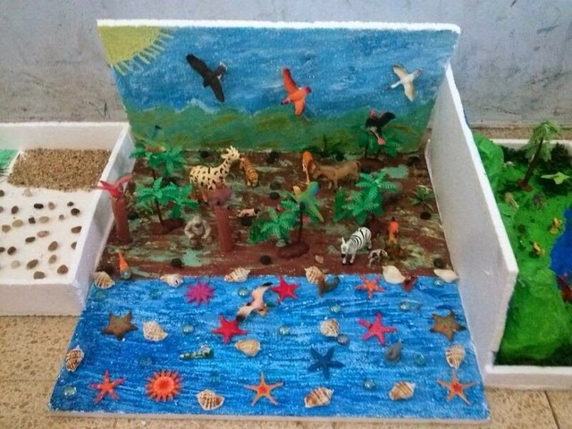 PRESENTACIÓN DEL TRABAJO FINAL