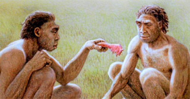 Homo antecessor