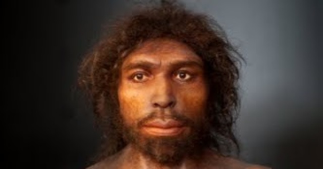 Homo antecessor