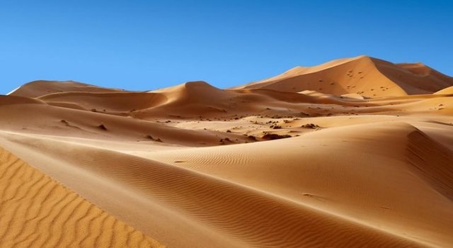 Llegada al Sahara