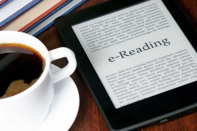 E-books as Source of Information and Field Entertainment
