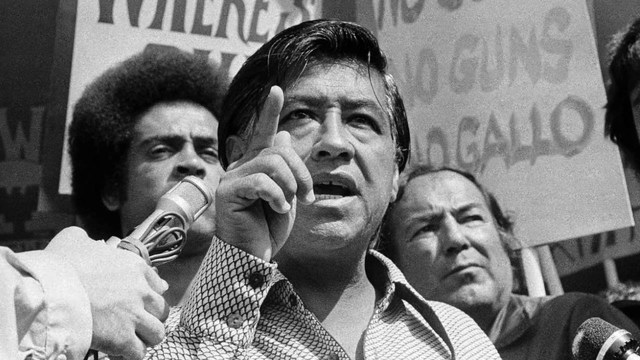 Cesar Chavez united farm worker