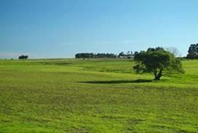 FORMAS DE MENOR ALTURA : Llanuras