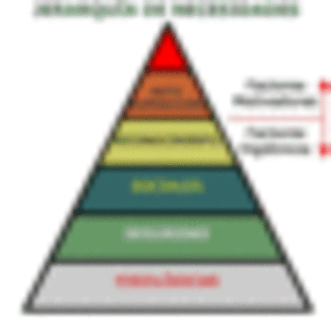 TEORÍA DEL COMPORTAMIENTO