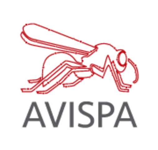 Grupo de investigación AVISPA
