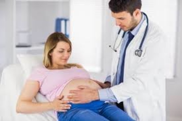 PROTECCIÓN   DE LA MATERNIDAD (Organización Internacional del Trabajo)