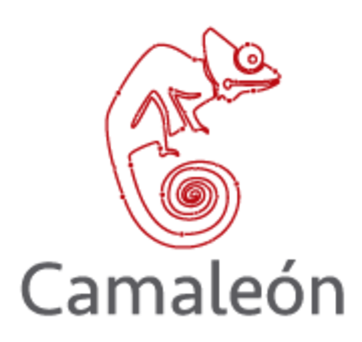 Grupo de investigación Camaleón