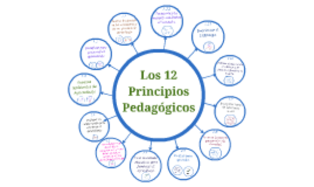 principios pedagogicos