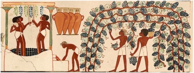 Primeras aplicaciones empíricas: uso de levaduras y fermentación