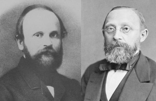 Virchow y Remarck: Teoría celular