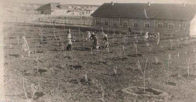 Старая школа