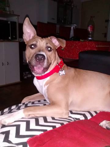 Boni a nuestras vidas