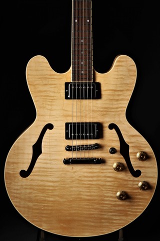 Electric Guitar Introduced