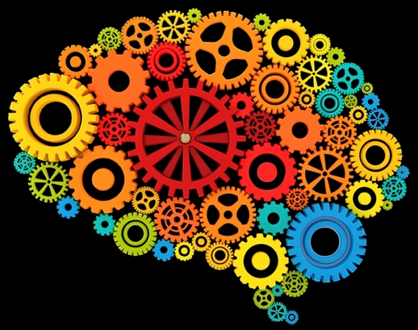 Siglo XXI Las últimas décadas