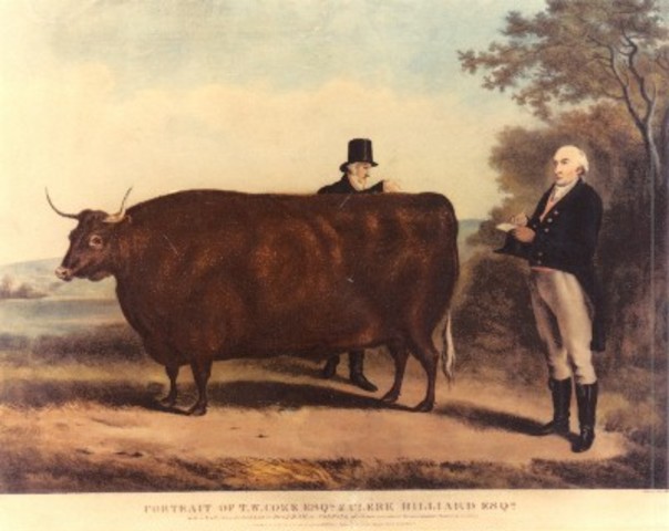 Robert Bakewell: Clasificación sistemática