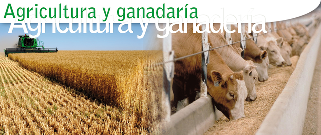 Inicia la agricultura y la ganadería