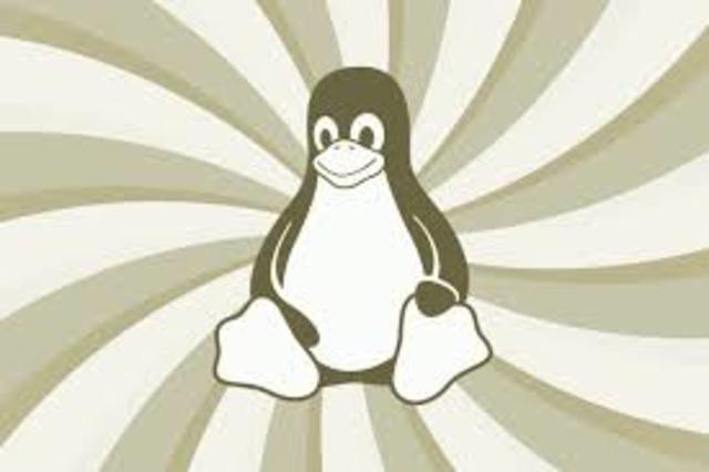 Primera version publica