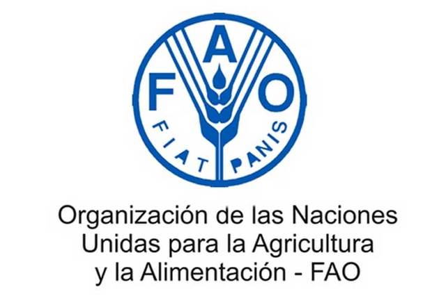 Se crea FAO
