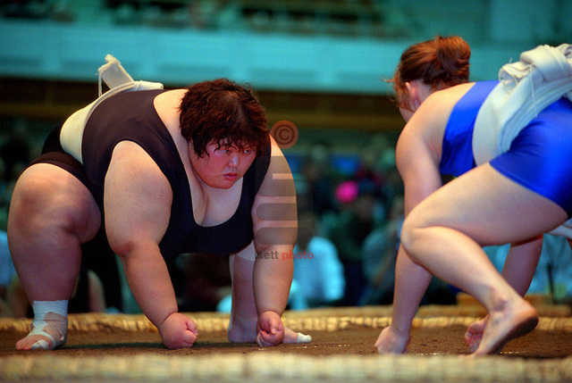 El Shin Sumō comparte espacio con el sumō