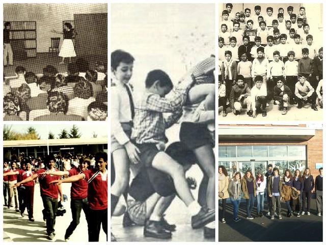 Organización de la educación