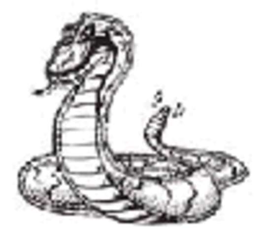 First Day At Richmond Green Secondary School