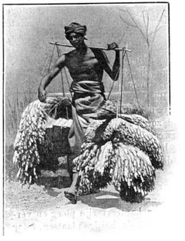 Koelies die werk weigeren worden bij de wet vervolgd