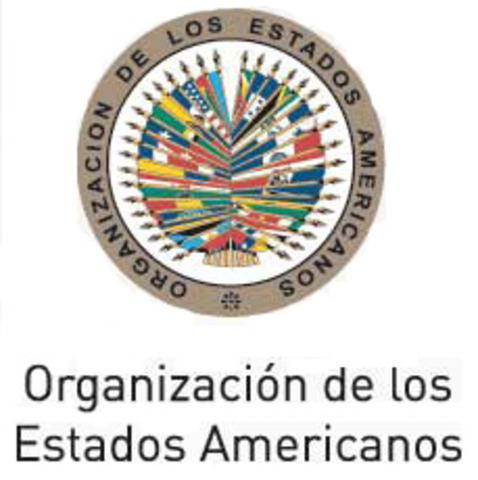 Bolivia: Misión de Observación Electoral