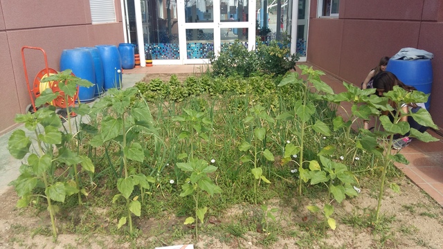 RECOLLIM ELS PRODUCTES