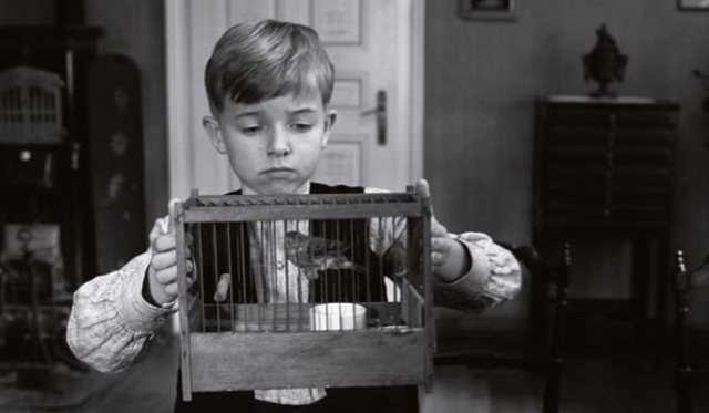 Λευκή Κορδέλα (Das weiße Band, Eine deutsche Kindergeschichte)