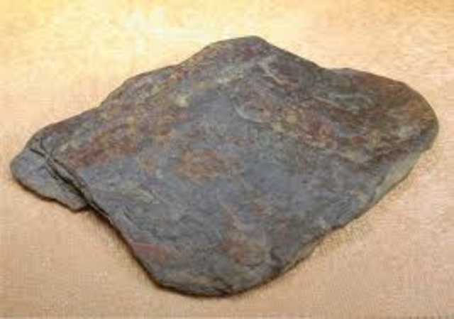 La pizarra o tablero