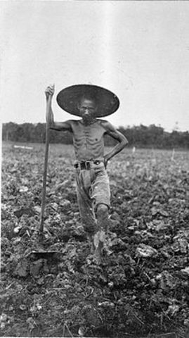 Koelies die werk weigerweigeren werden bij wet vervolgd