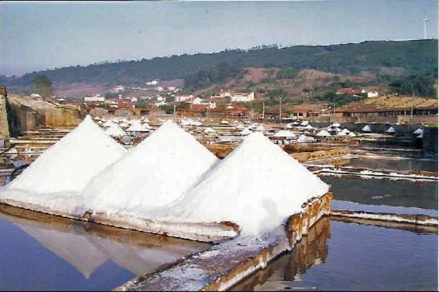 Chegada dos pioneiros As Salinas