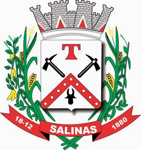 Criação do município das Salinas