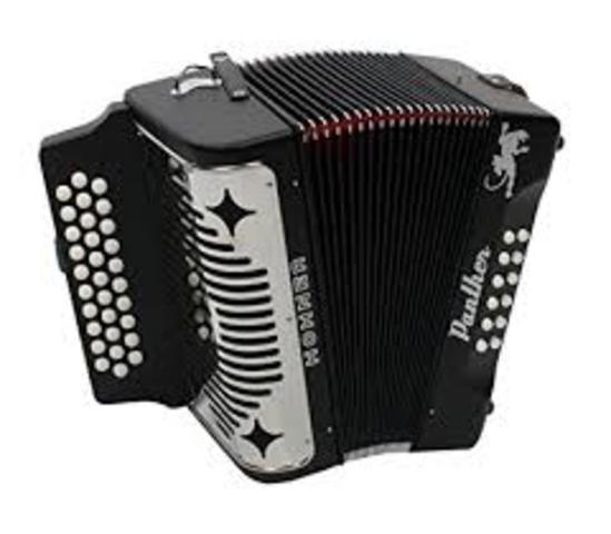 registran el acordeon