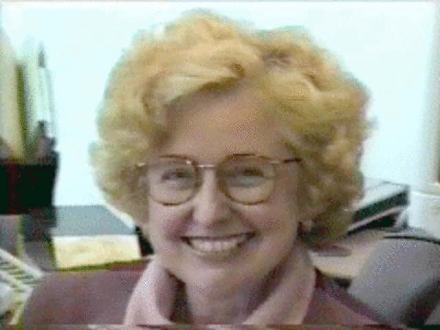 DEFINICIÓN según Seels & Richey