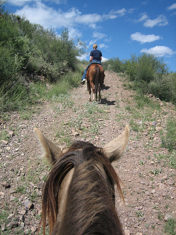 Stanley Grandfather, Elya