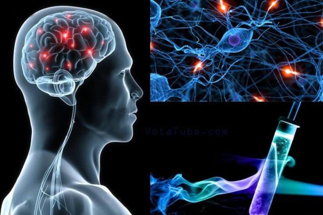 2005 afecciones neurológicas