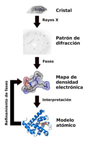 Cristalografía de rayos X