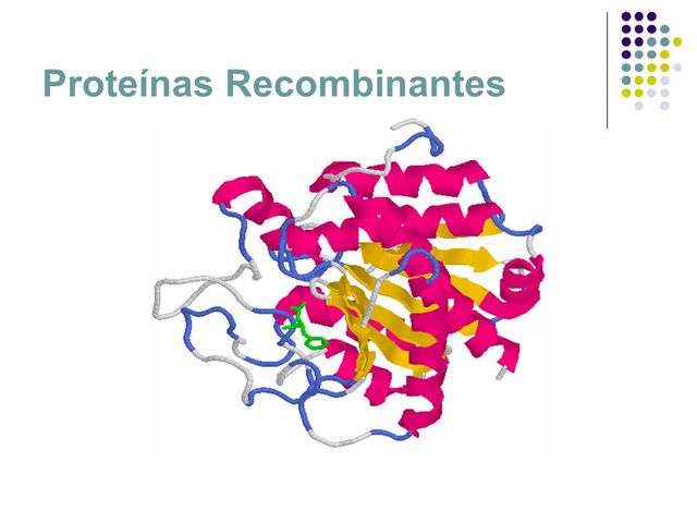Proteínas recombinantes
