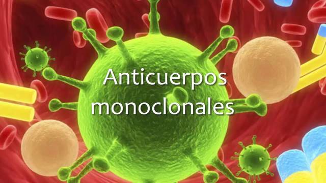 Anticuerpo monoclonal