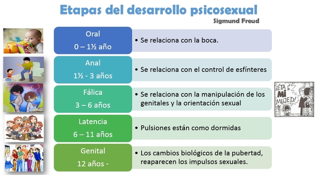 ETAPAS DEL DESARROLLO PSICO SEXUAL - FREUD