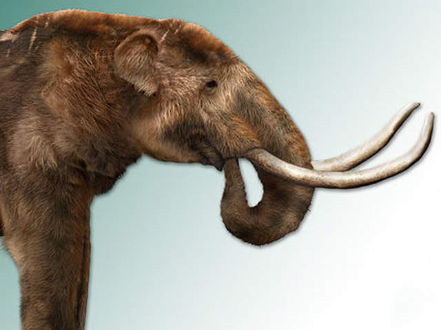 First people arrive in Florida