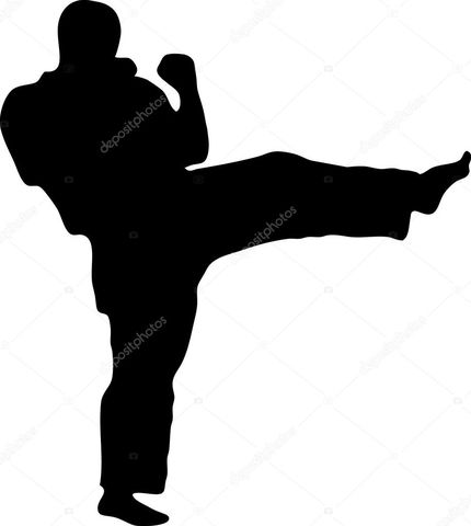 Artes Marciales