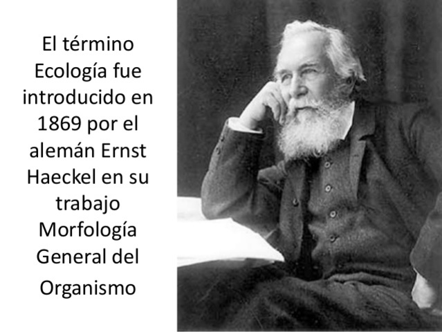 Ernest H. Haeckel