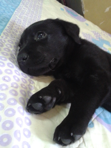 MAYOR ALEGRÍA Y TRISTEZA MAS PROFUNDA.