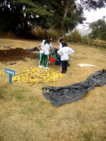 ABONO ORGANICO Y CAL VIVA